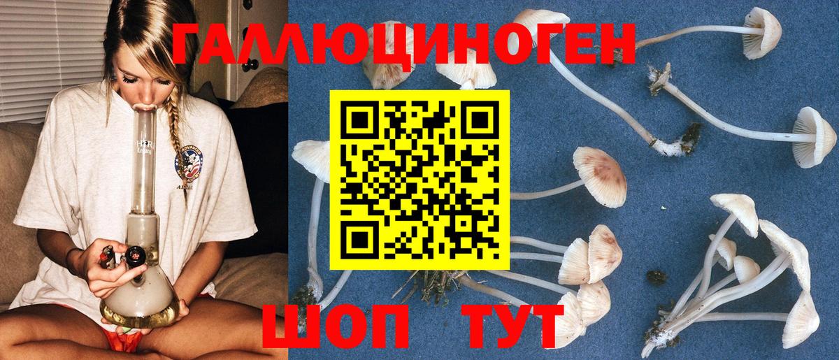 Псилоцибиновые грибы Psilocybine cubensis Юрга