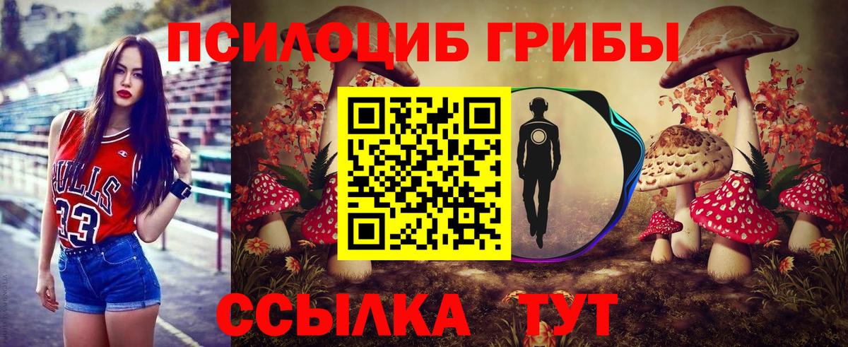 Юрга  закладки  Вход с VPN  Псилоцибиновые грибы Magic Shrooms 